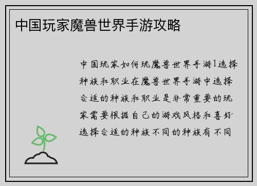 中国玩家魔兽世界手游攻略